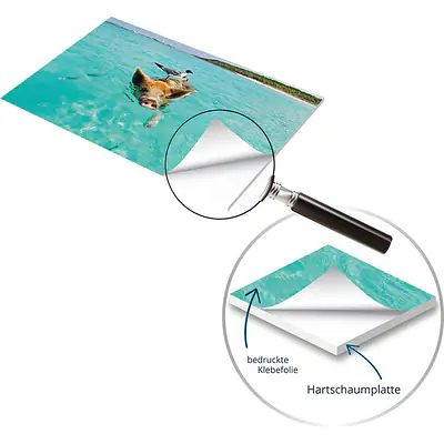 PVC-Schild mit Digitaldruck primary image