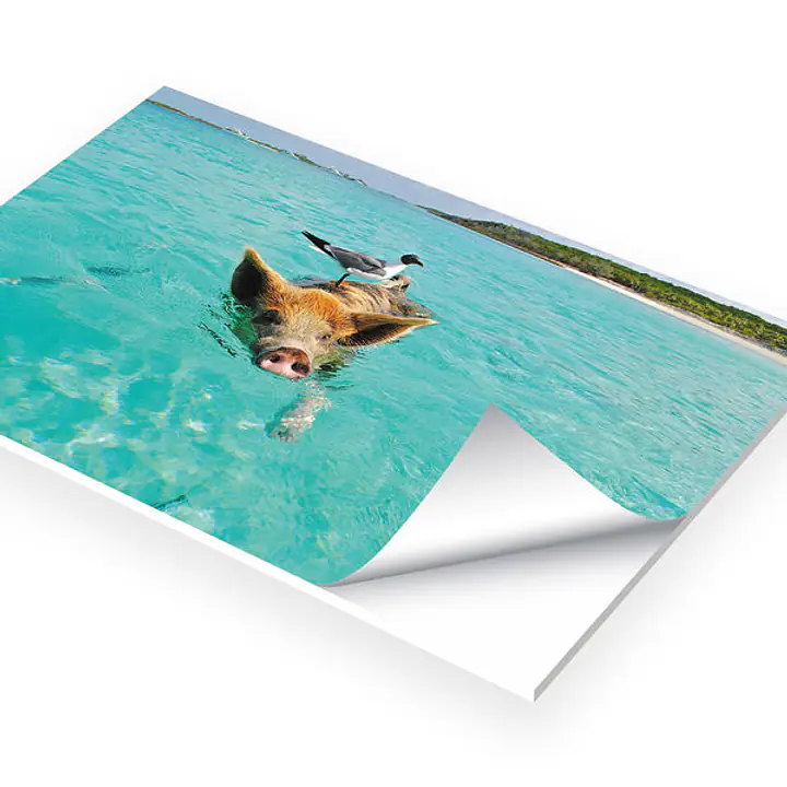 PVC-Schild mit Digitaldruck - Master