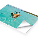 PVC-Schild mit Digitaldruck - Master